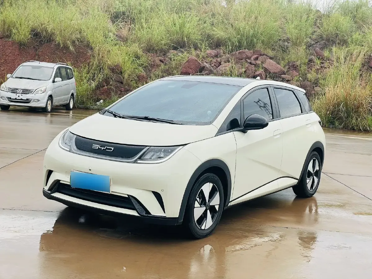 2023 BYD Dolphin BEV 44.928KWH