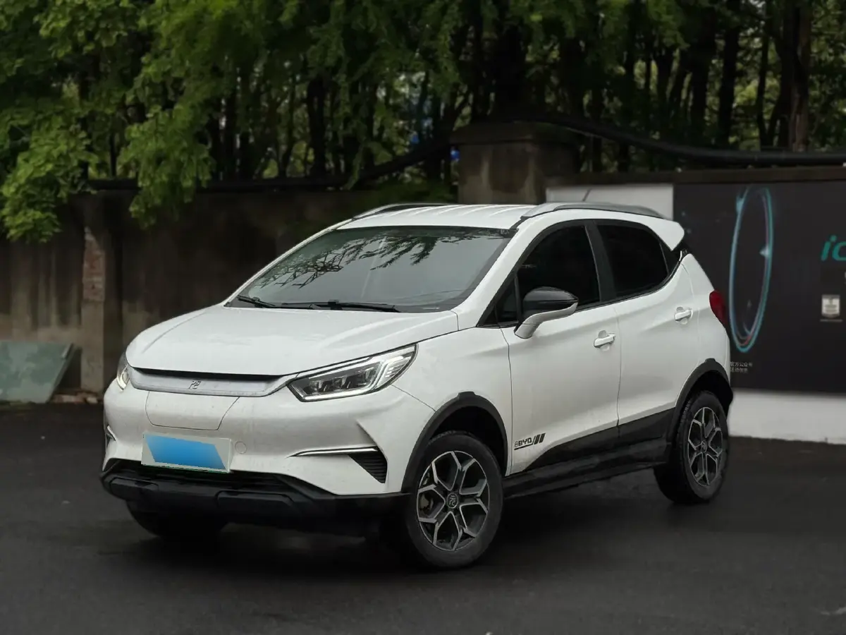 2021 BYD Yuan Pro BEV 50.1KWH