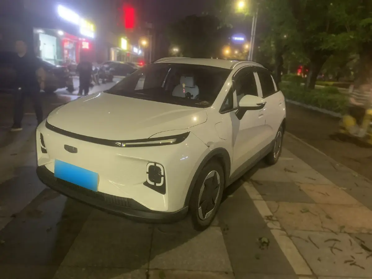 2024 Geometry E BEV 29.67KWH