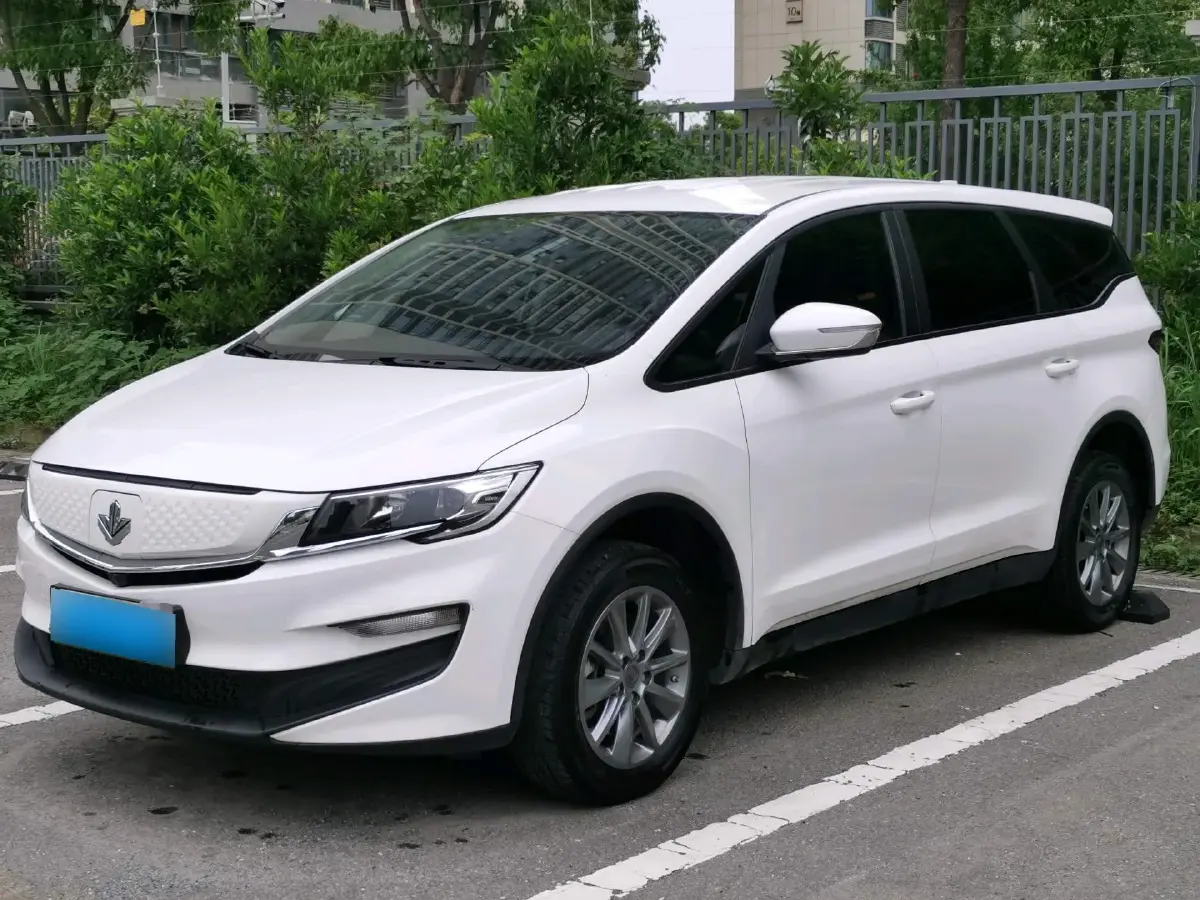 2021 Livan Maple 80v BEV 53KWH