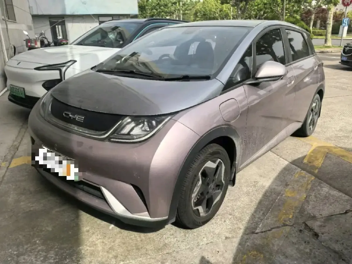 2021 BYD Dolphin BEV 44.9KWH