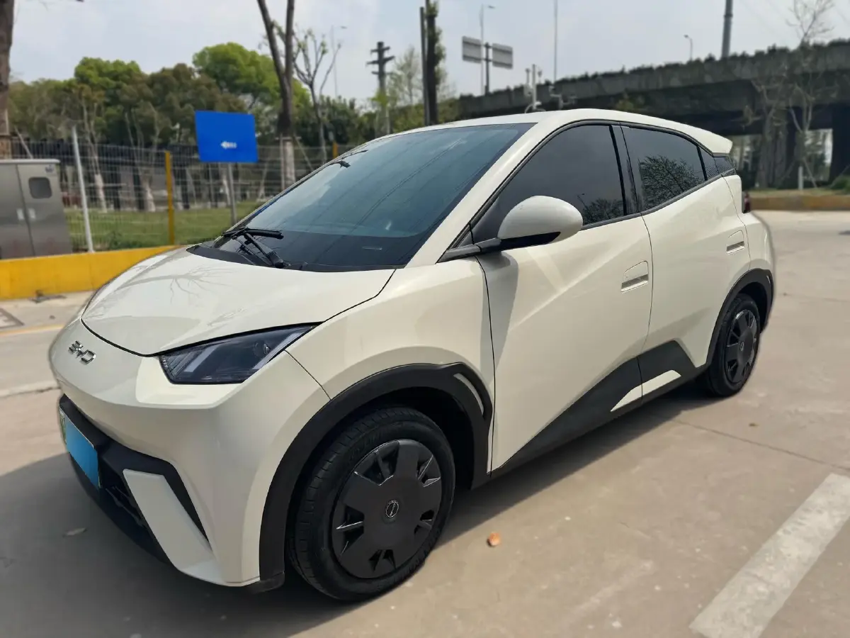 2023 BYD Seagull BEV 30.08KWH