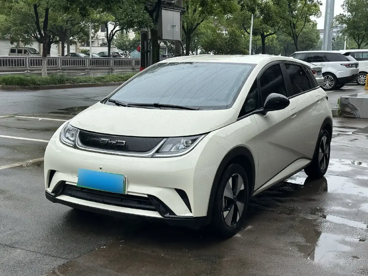 2023 BYD Dolphin BEV 44.928KWH