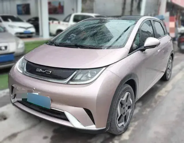 2021 BYD Dolphin BEV 44.9KWH