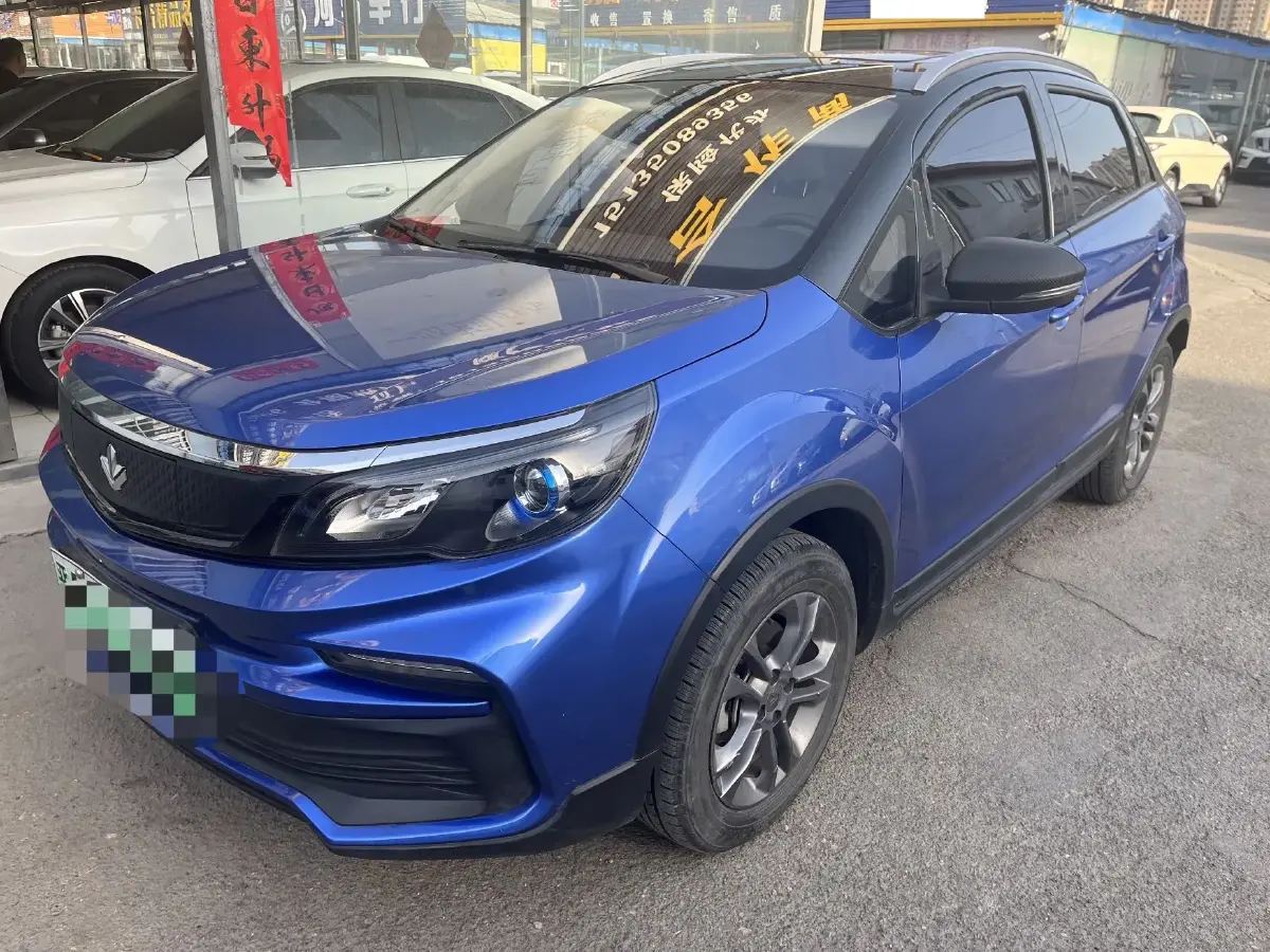 2020 Livan Maple 30X BEV 37KWH