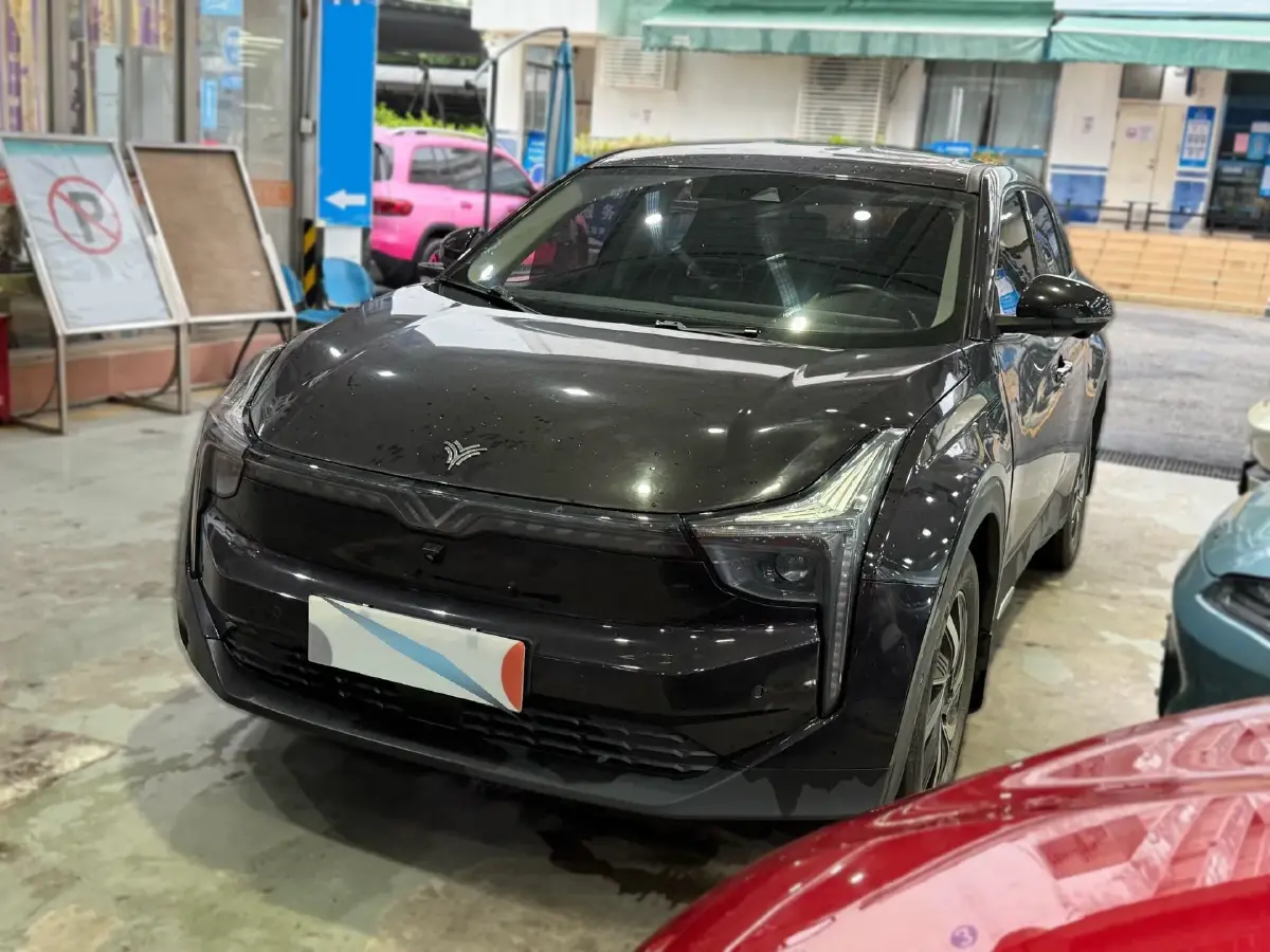 2021 Neta U BEV 66.23KWH