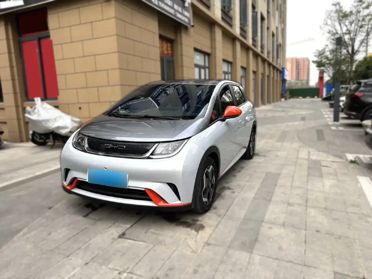 2021 BYD Dolphin BEV 44.9KWH