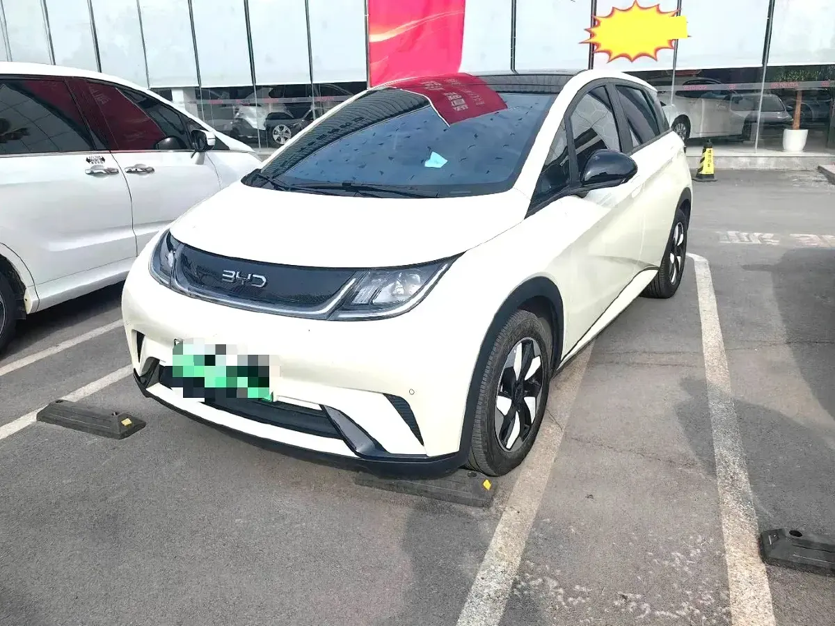 2024 BYD Dolphin BEV 44.928KWH