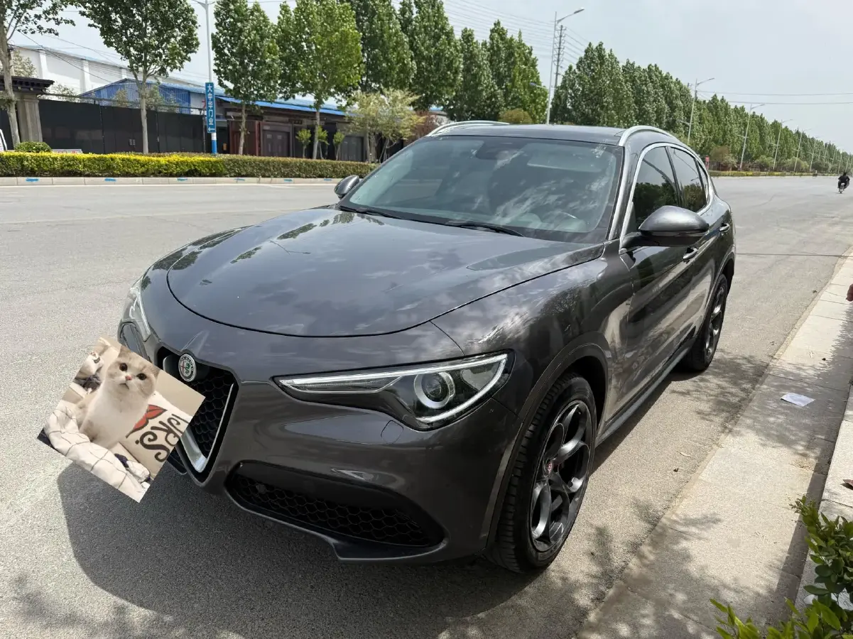 2020 Alfa Romeo Stelvio 2.0T 280HP L4 8AT