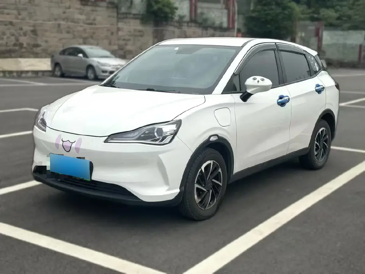 2021 Neta V BEV 38.54KWH