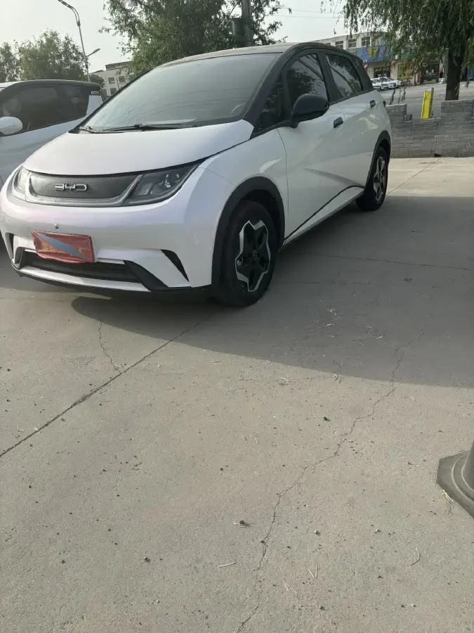 2021 BYD Dolphin BEV 44.9KWH