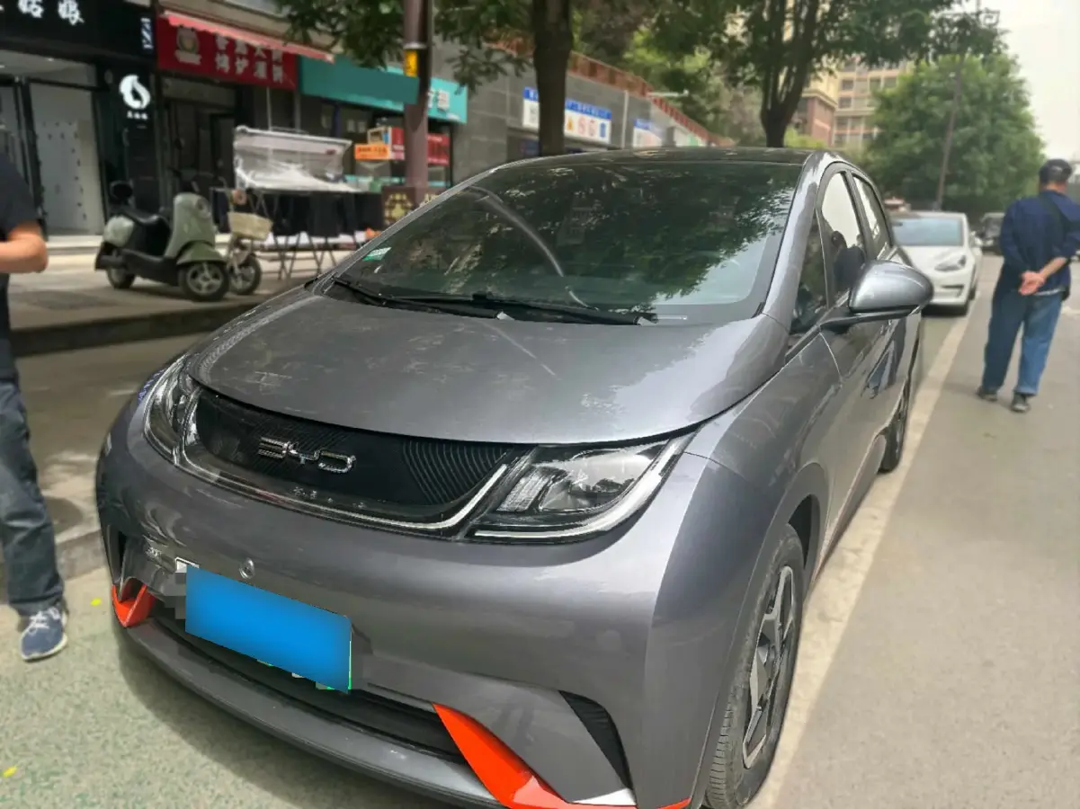 2021 BYD Dolphin BEV 44.9KWH