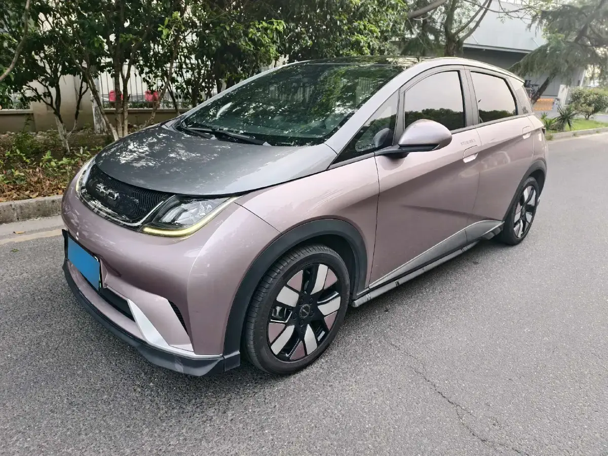 2021 BYD Dolphin BEV 44.9KWH
