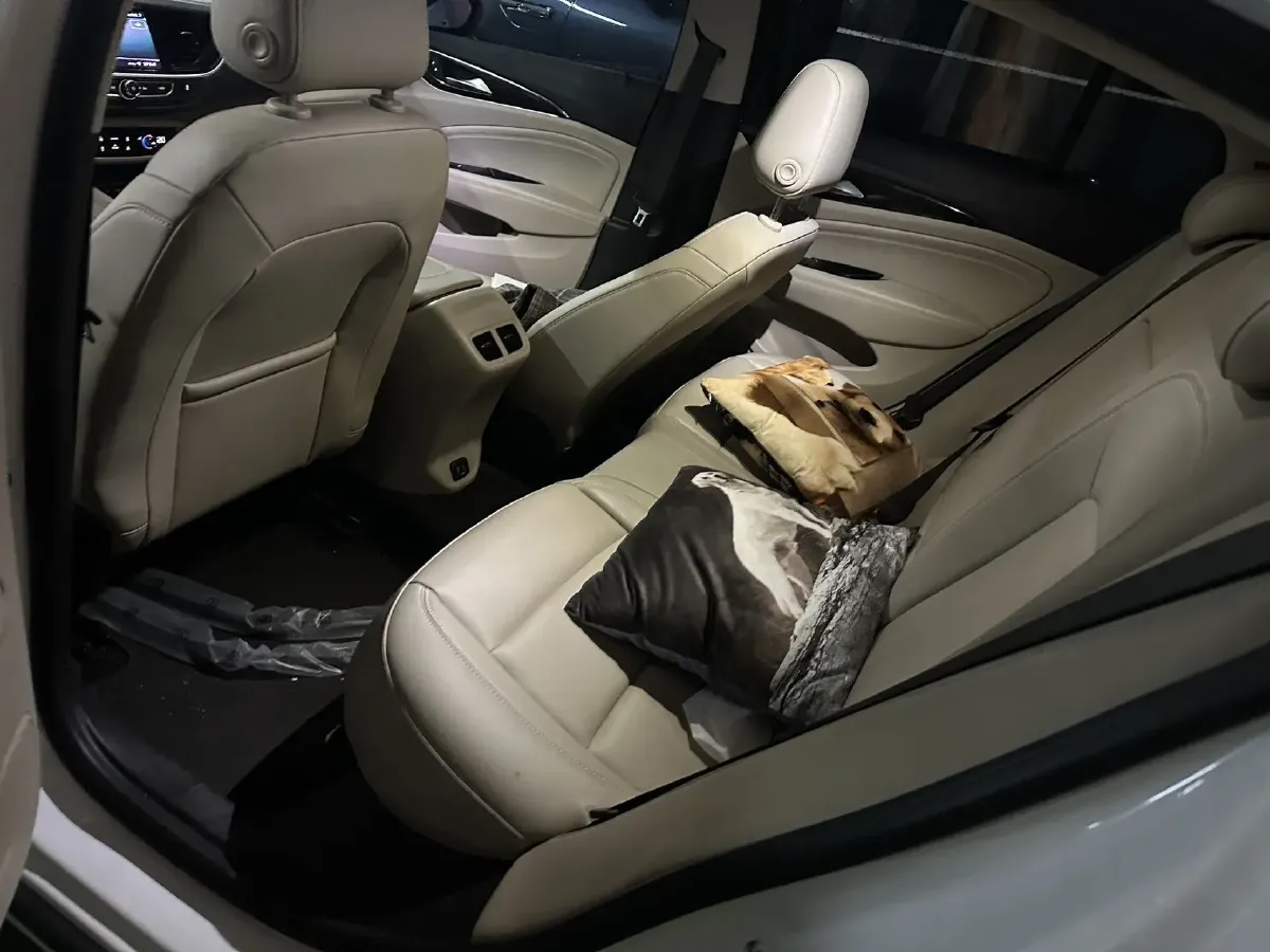 2020 Buick Regal 1.5T 169HP L4 9AT,autocango,china used car exporter,china ev exporter,chinese used car exporter,chinese used ev exporter