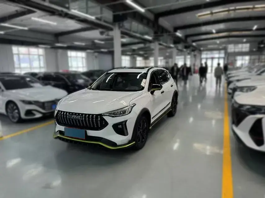 2021 Haval Rabbit 1.5T 184HP L4 7DCT
