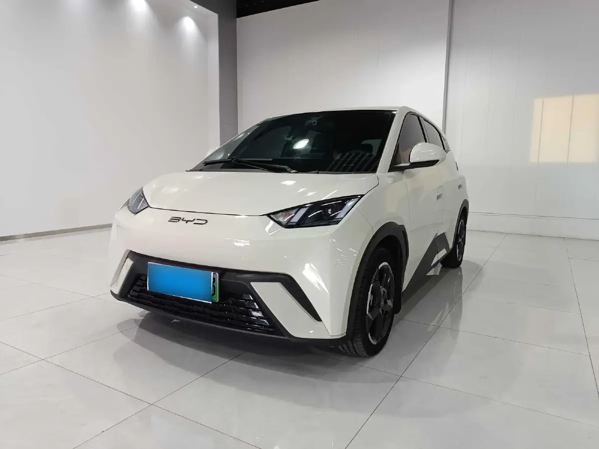 2024 BYD Seagull BEV 38.88KWH
