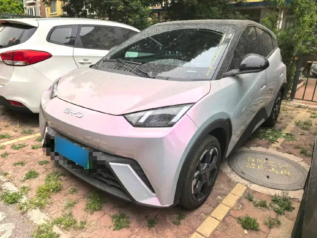2024 BYD Seagull BEV 38.88KWH