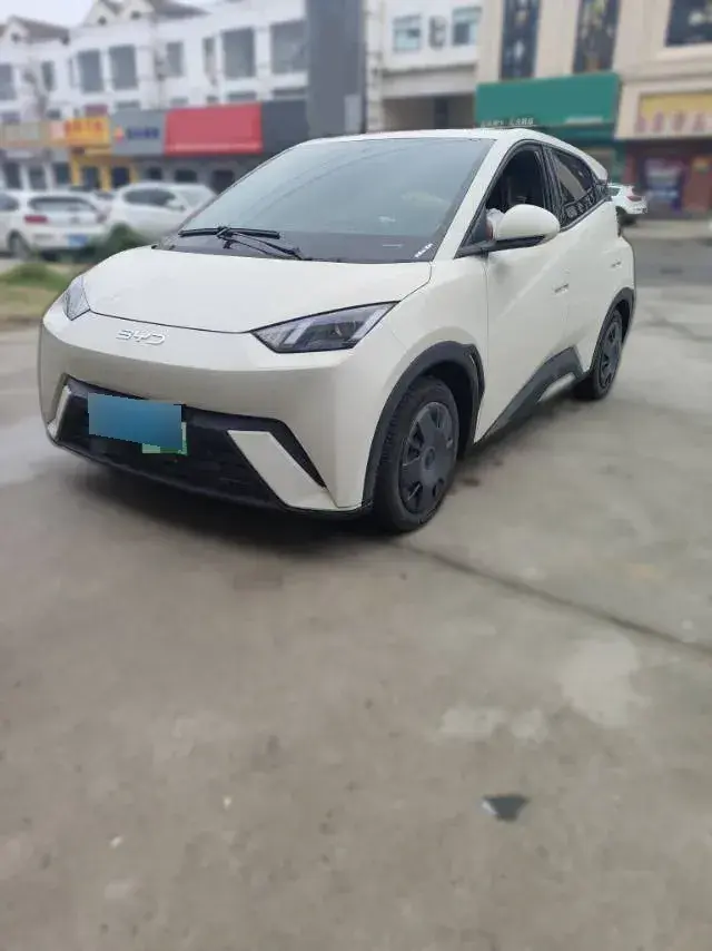 2024 BYD Seagull BEV 30.08KWH