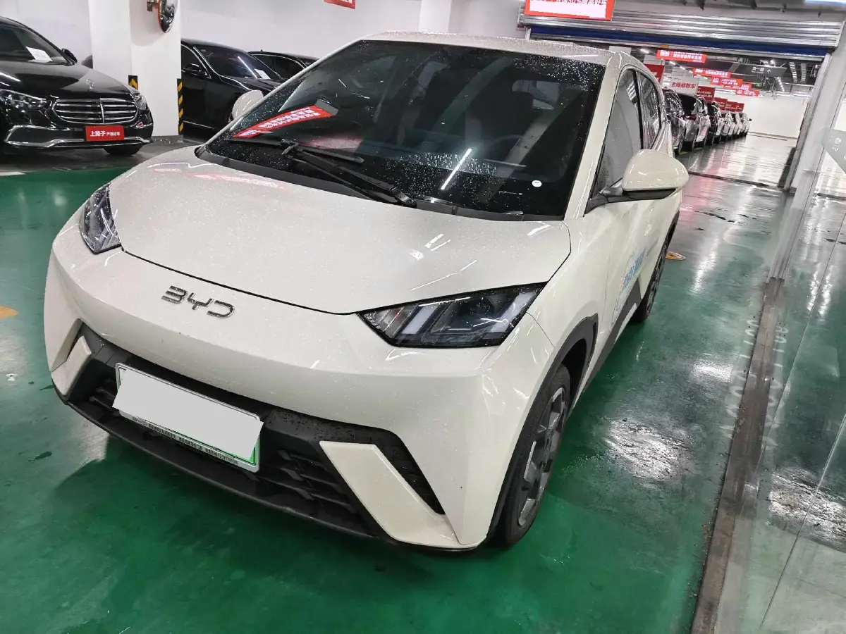 2024 BYD Seagull BEV 38.88KWH