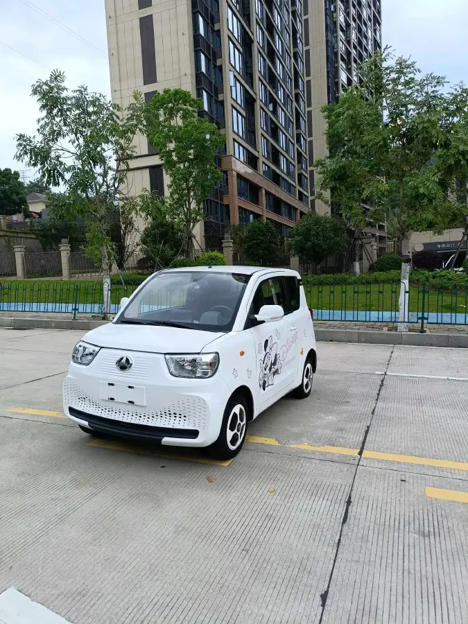 2023 BAW YuanBao BEV 17.28KWH