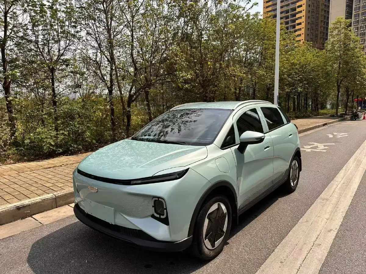 2024 Geometry E BEV 29.67KWH