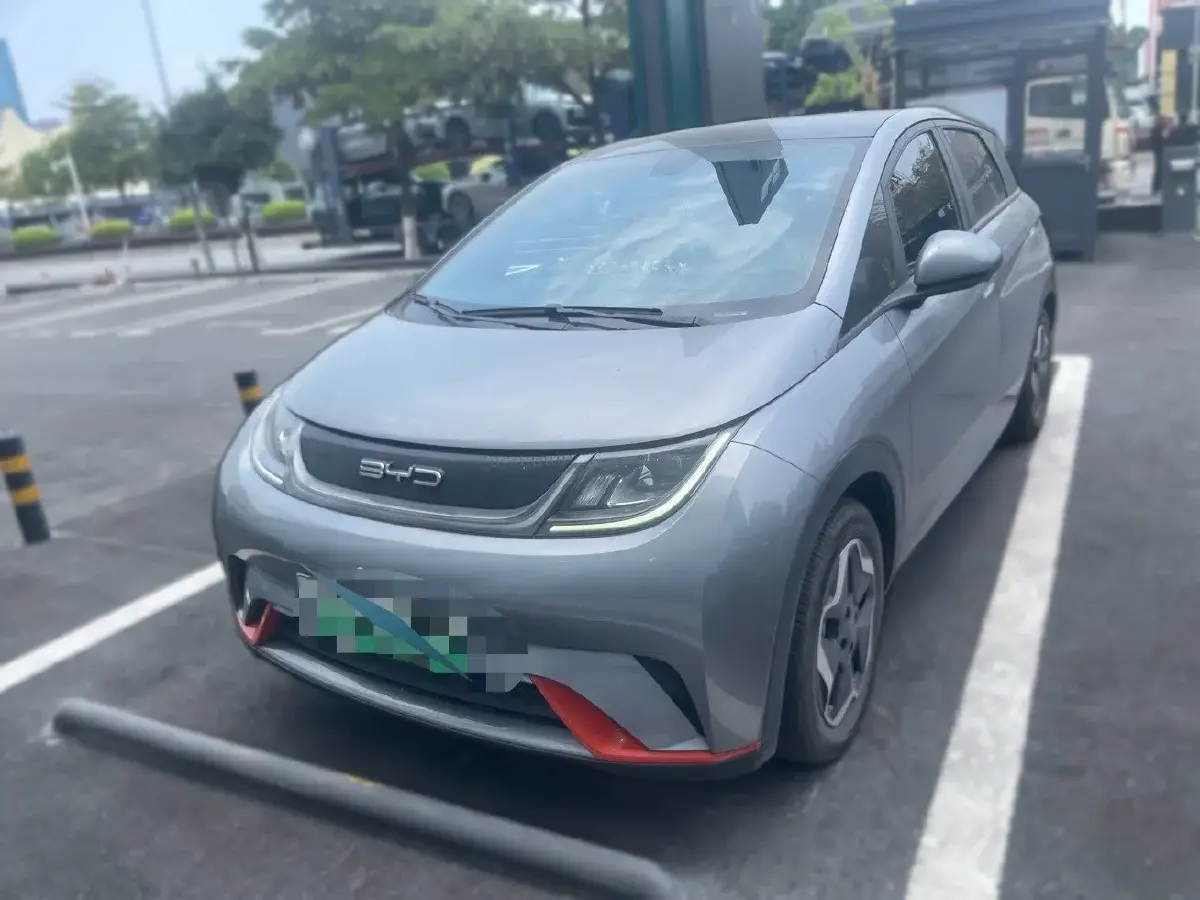2021 BYD Dolphin BEV 44.9KWH