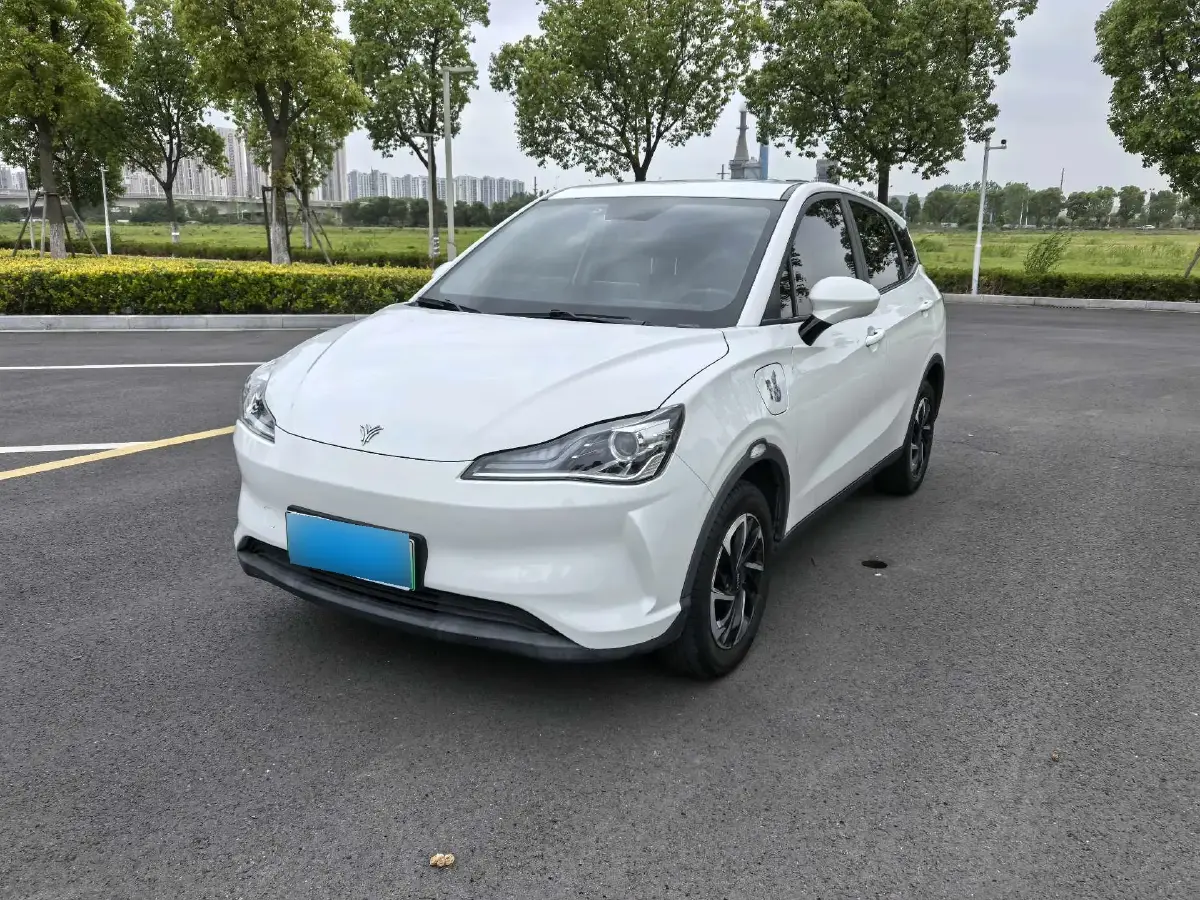 2021 Neta V BEV 38.54KWH