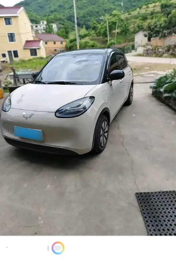 2025 WuLing BinGuo BEV