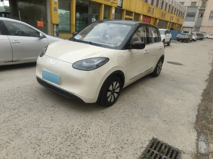 2025 WuLing BinGuo BEV