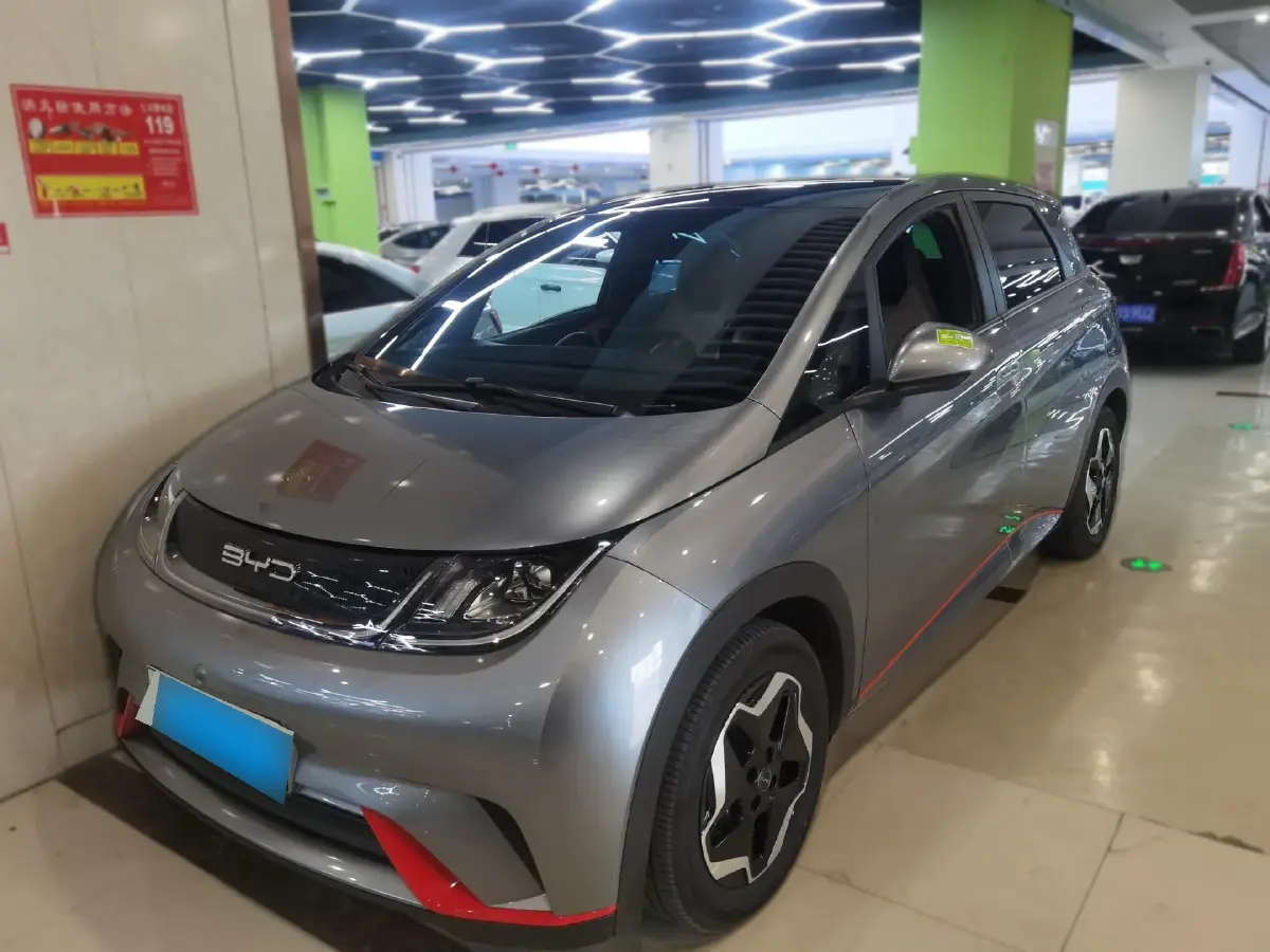 2021 BYD Dolphin BEV 44.9KWH