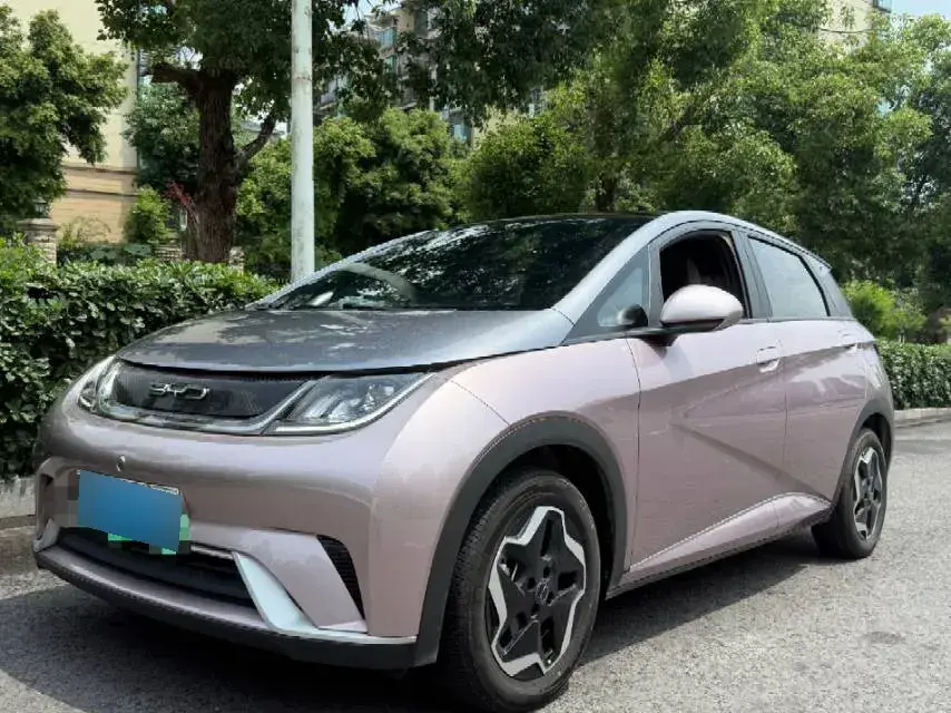 2021 BYD Dolphin BEV 44.9KWH