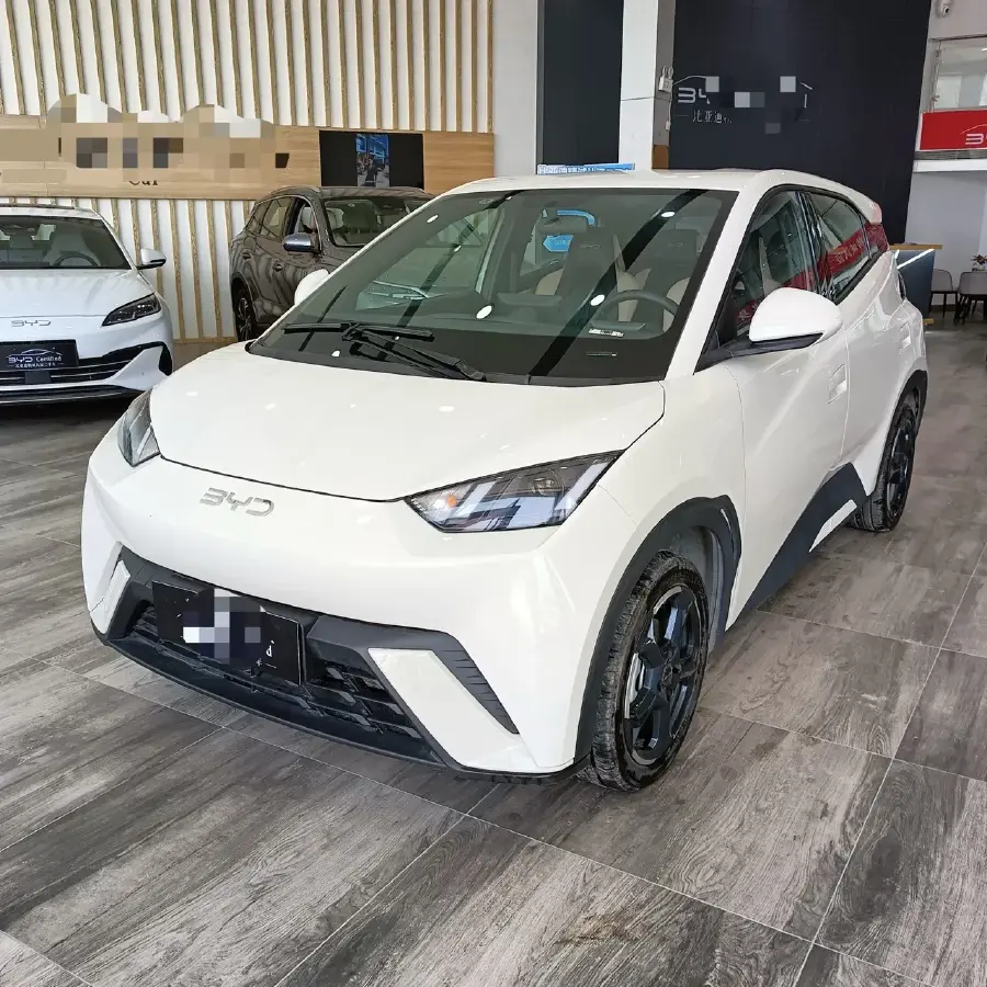 2024 BYD Seagull BEV 38.88KWH