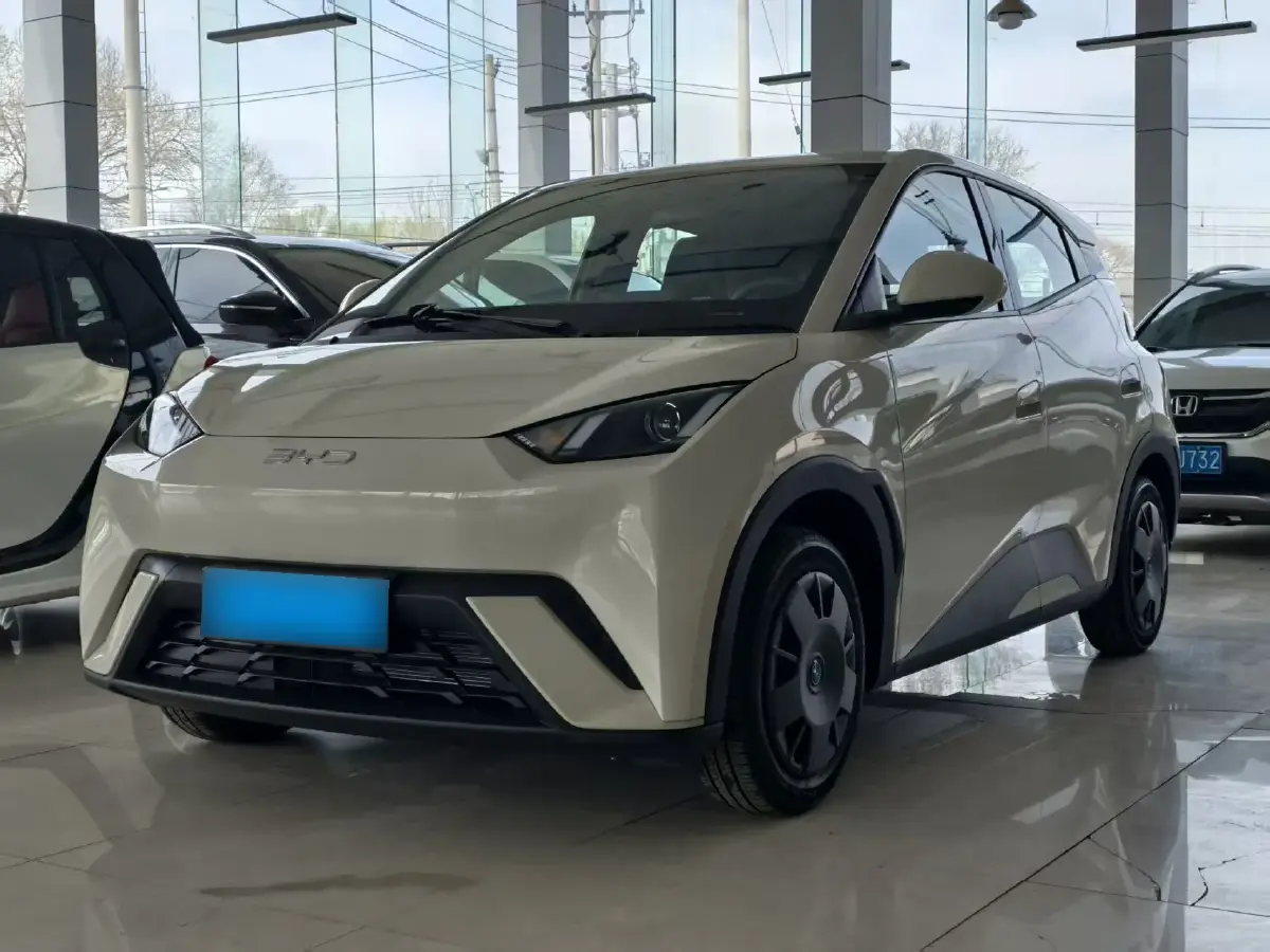 2025 BYD Seagull BEV 30.08KWH