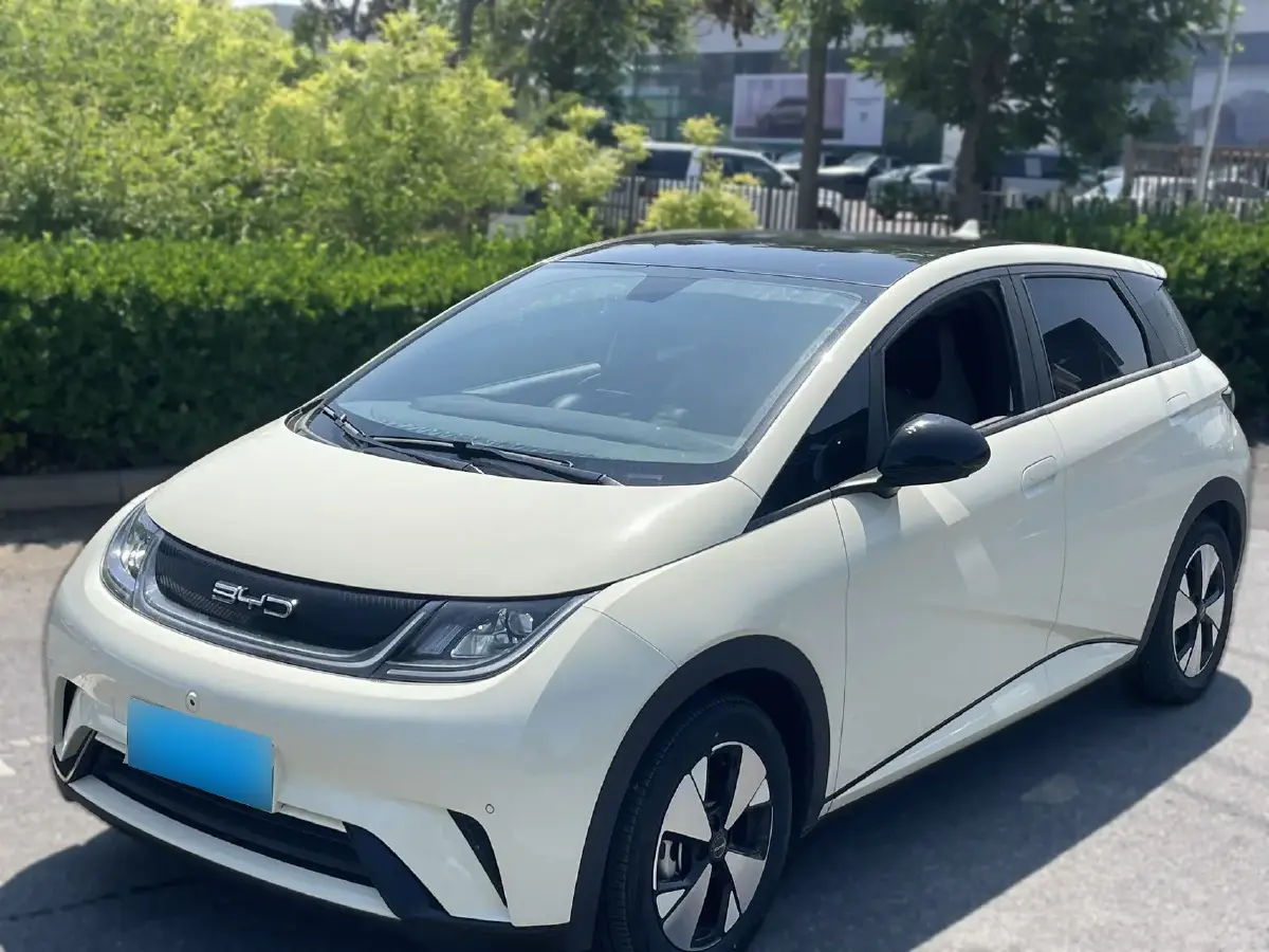 2023 BYD Dolphin BEV 44.928KWH