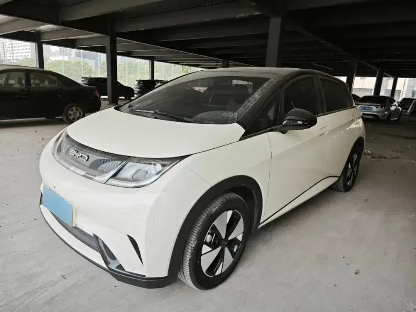 2023 BYD Dolphin BEV 44.928KWH