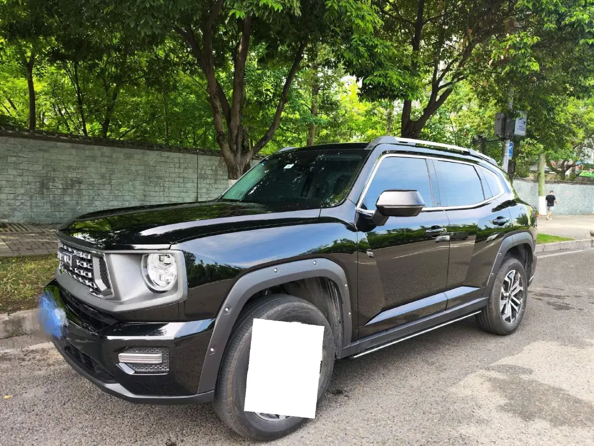 2023 Haval Dargo 2 2.0T 238HP L4 9DCT