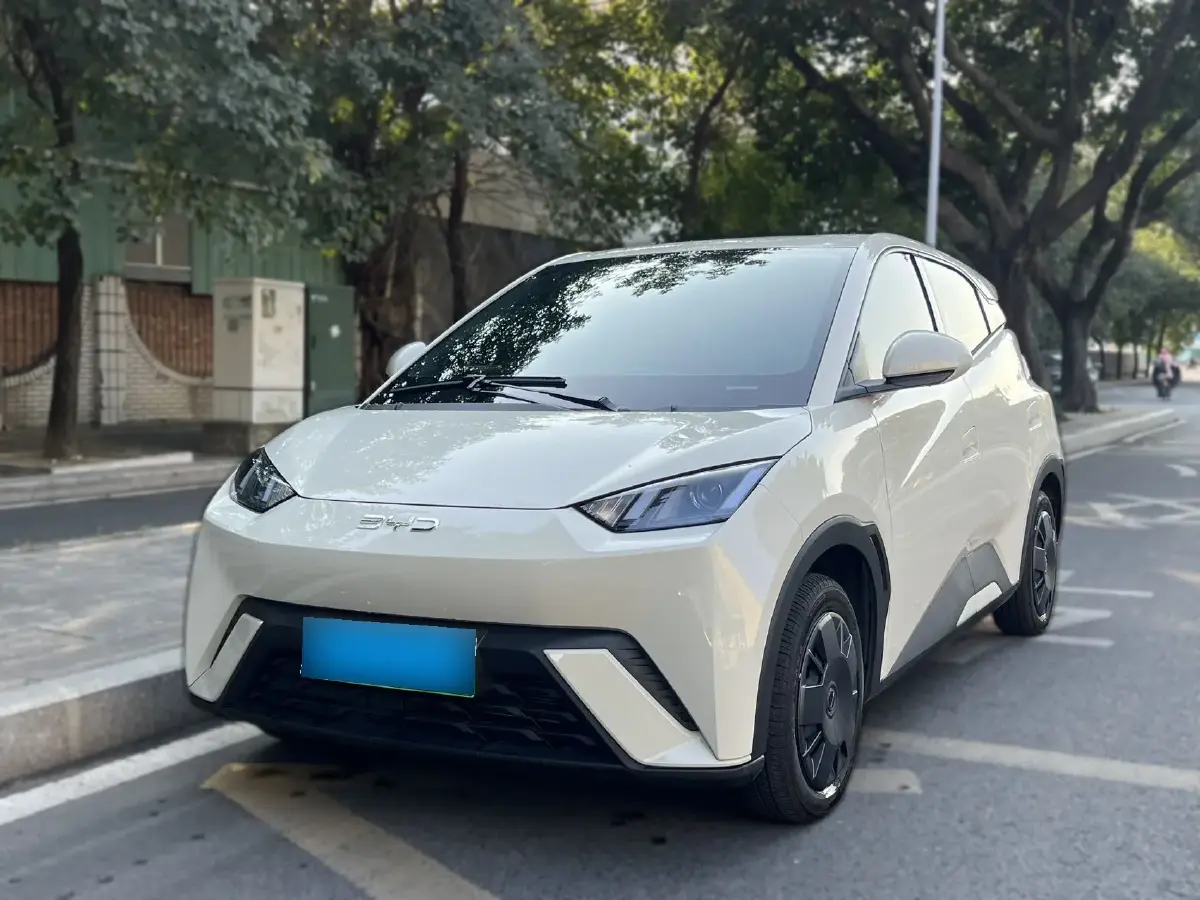 2024 BYD Seagull BEV 30.08KWH