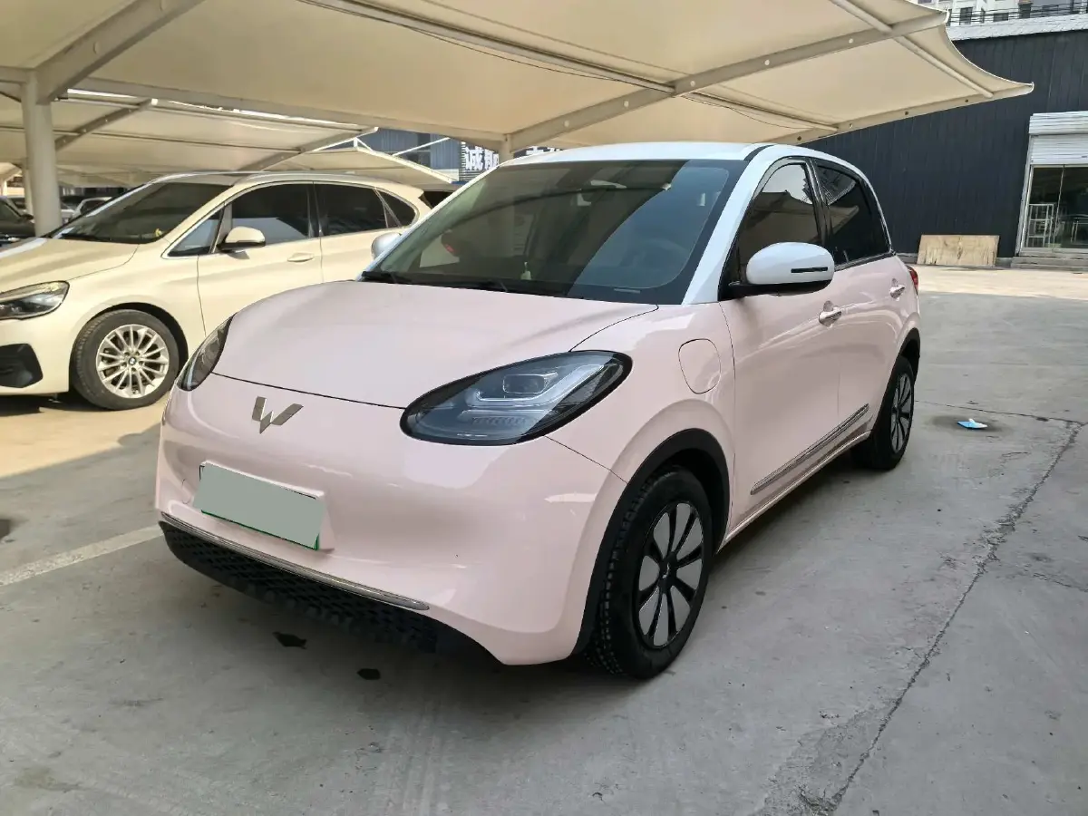 2023 WuLing BinGuo BEV 37.9KWH