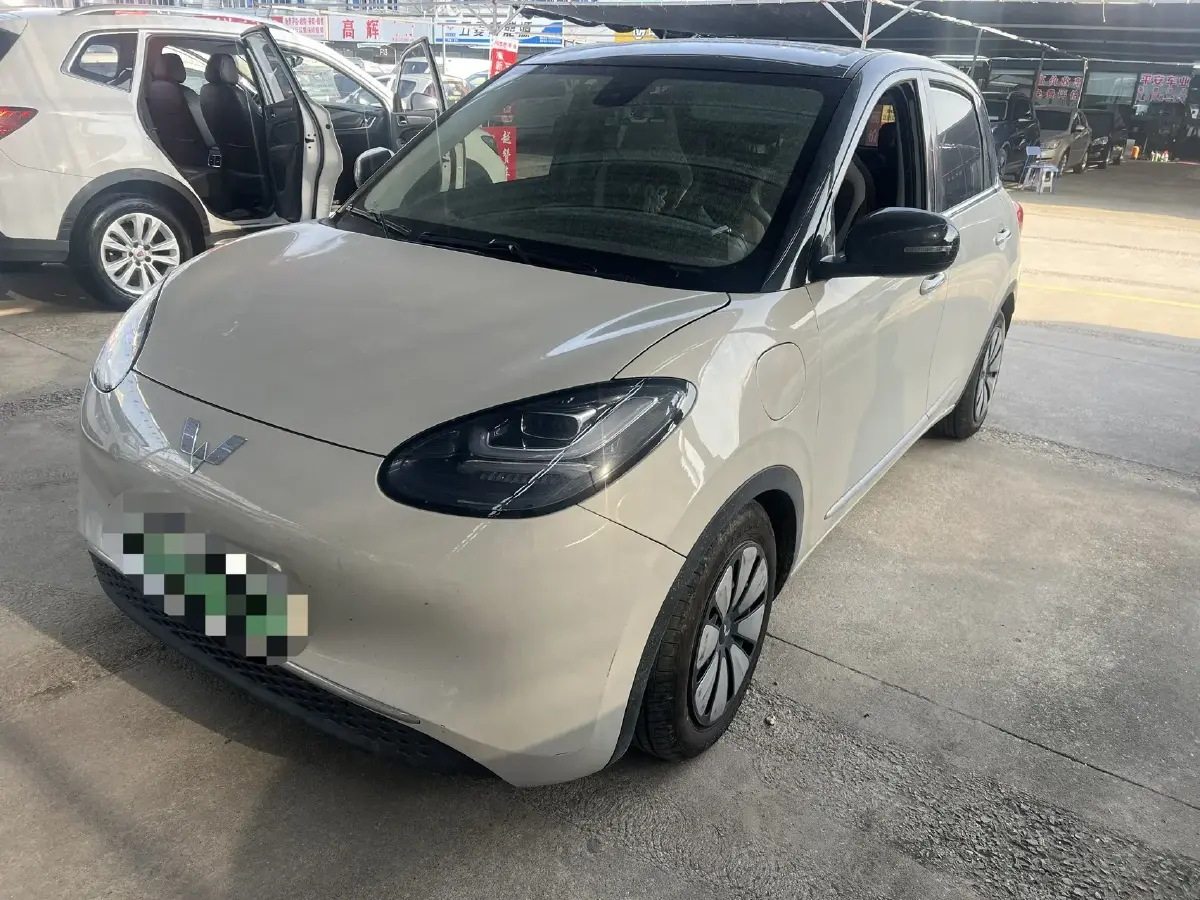 2023 WuLing BinGuo BEV 31.9KWH