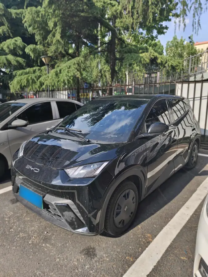 2023 BYD Seagull BEV 30.08KWH