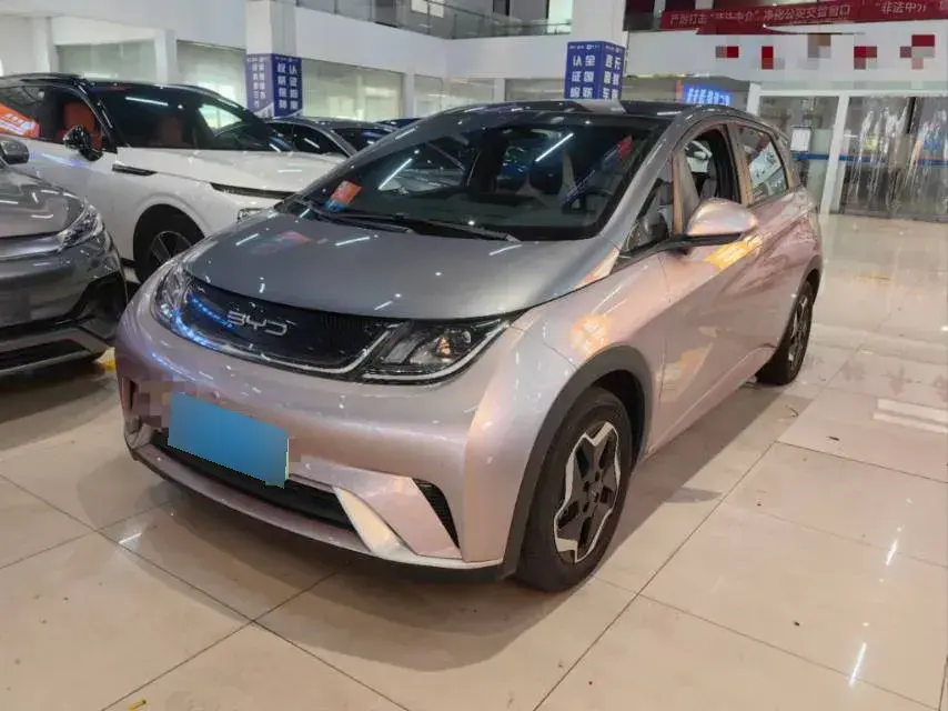 2021 BYD Dolphin BEV 44.9KWH