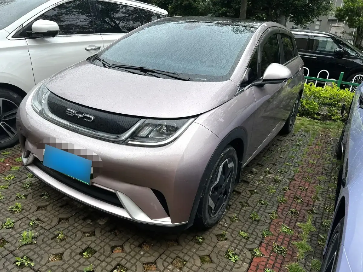 2021 BYD Dolphin BEV 44.9KWH