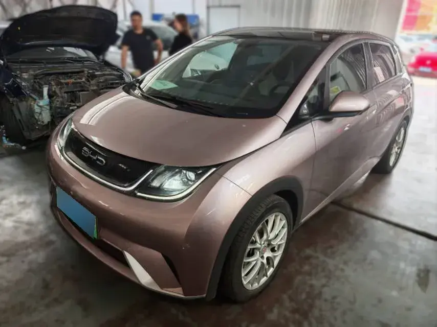 2021 BYD Dolphin BEV 44.9KWH