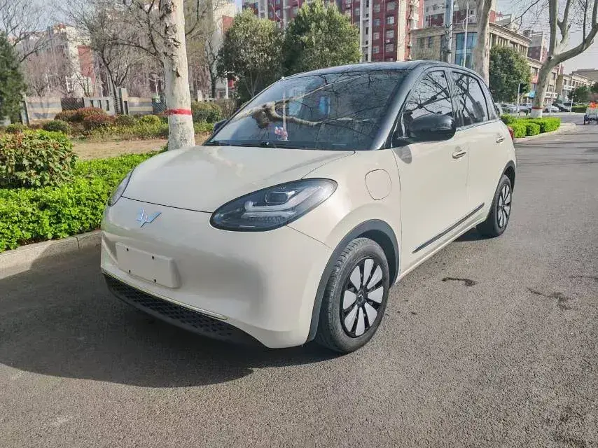 2023 WuLing BinGuo BEV 31.9KWH