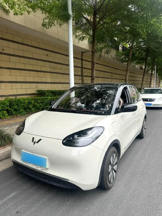 2023 WuLing BinGuo BEV 37.9KWH