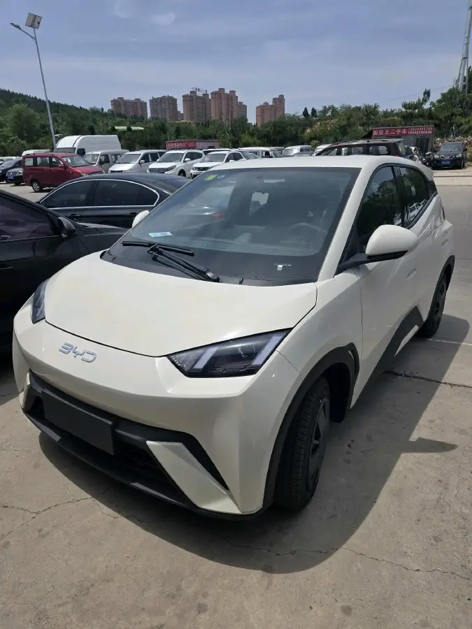 2025 BYD Seagull BEV 30.08KWH