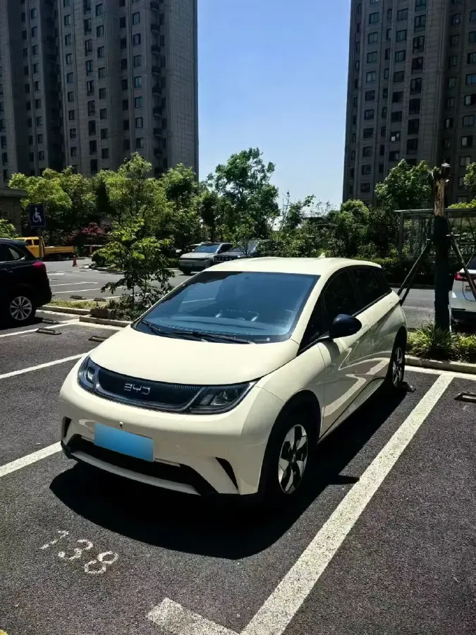 2024 BYD Dolphin BEV 44.928KWH