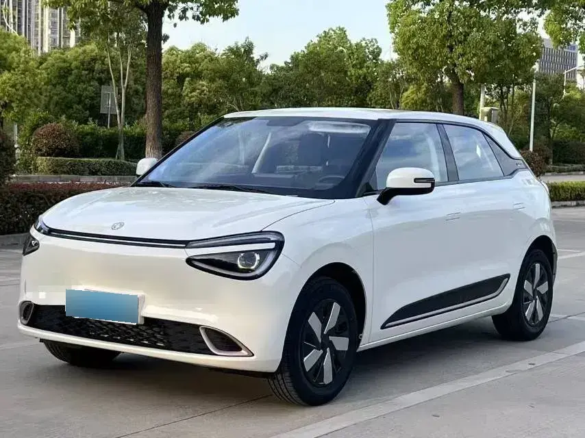 2024 DongFeng Nammi 01 BEV 31.45KWH