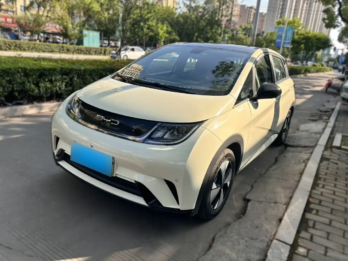 2023 BYD Dolphin BEV 44.928KWH
