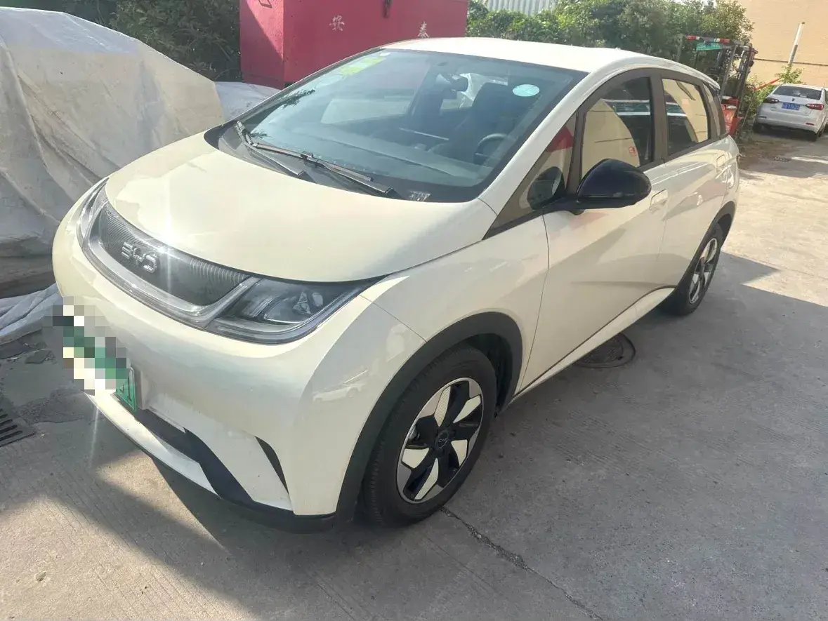 2024 BYD Dolphin BEV 44.928KWH